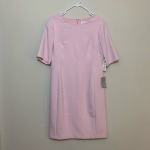 Soft Pink Eliza J Dress